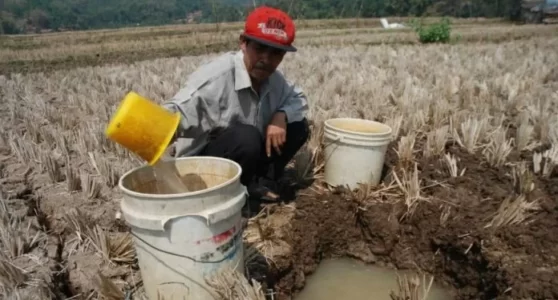 Permasalahan dan Solusi Air Bersih di Indonesia