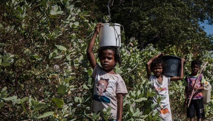 Anak-anak di Sumba Tempuh 4 Km Demi Air Bersih