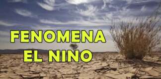 Antisipasi Krisis Air Dampak El Nino Yuk Mulai Hemat Air dan Tanam Pohon