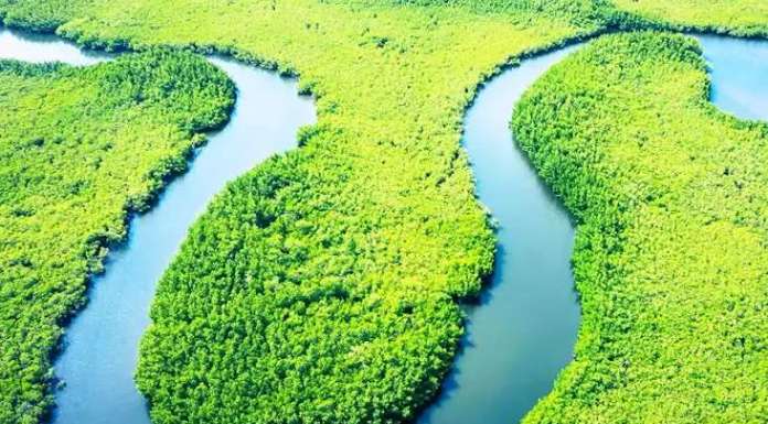 Sungai yang Bersih Menjadi Sumber Kehidupan Manusia