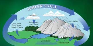 5 Langkah Mudah Menjaga Siklus Air Agar Tidak Terjadi Bencana